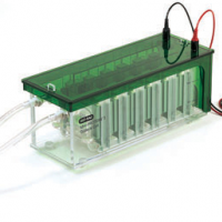 美国BIO-RAD Mini-PROTEAN 3 Dodec