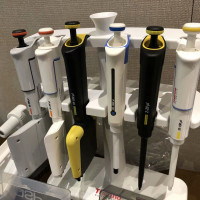 Thermo Scientific货号4641060N现货F