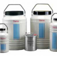 Thermo Scientific Thermo液氮转移罐