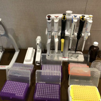 Thermo Scientific货号4641080N现货F