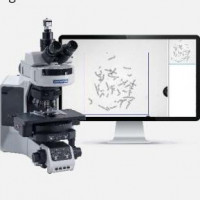 Multispecies多物种核型分析软件
