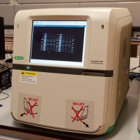 bio-rad伯乐ChemiDoc MP化学发光凝胶成像系统