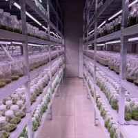 植物组培室 组培室改造 生长室定制