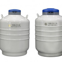 查特金凤液氮罐（YDS-35-(80/125)/YDS-47