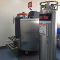 气相液氮罐