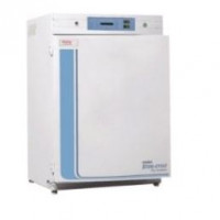 Thermo Scientific™  Forma™ Ste