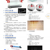 DYCZ-20G型DNA序列分析电泳仪