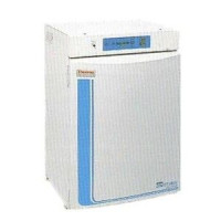 医疗必备热电371型CO2培养箱
