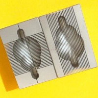 小鼠脑切片模具，小鼠脑模具