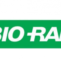 Bio-rad 伯乐电泳转印系统 1658033