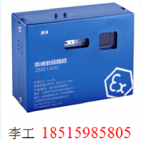 防爆照相机zhs2400+