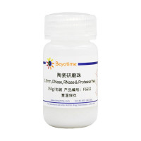 陶瓷研磨珠(2mm, DNase, RNase & Prot