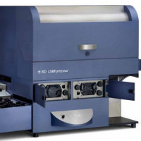 BD LSRFortessa x-20