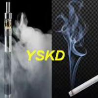动物熏烟造模系统