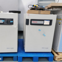 赛默飞160i CO2培养箱
