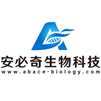 WISP-SA Dry Bath Incubator
