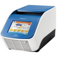 Thermofisher 梯度PCR仪 4375786