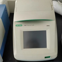 伯乐 Bio-Rad PCR仪 T100