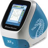 美国Seahorse XFp 细胞代谢分析仪