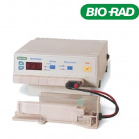 现货1652100伯乐Bio-Rad MicroPulser
