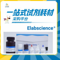 Elabscience Super Plus超敏快速免疫组化