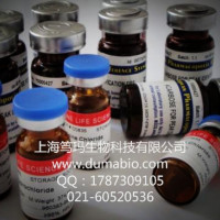 人免疫球蛋白E Fc段受体Ⅱ(FcεRⅡ/CD23)酶联免疫