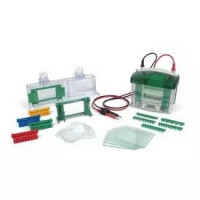 Bio-Rad Mini-PROTEAN® Tetra蛋白电
