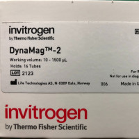 Invitrogen货号12321D现货DynaMag™-2