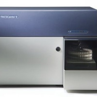BD FACSCanto™ II 流式细胞仪