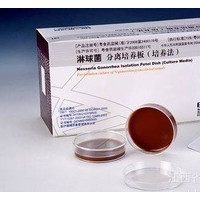 供应珠海银科淋球菌分离培养板/T－M平板 淋球菌分离培养板