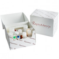 ZeptoMetrix 兔IgG ELISA/Rabbit