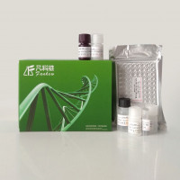 猪成纤维细胞生长因子23(FGF-23)ELISA试剂盒
