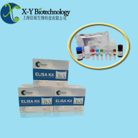 COL4α3试剂盒