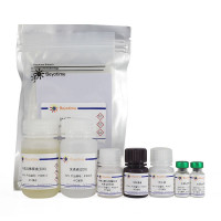 Rat IL-18 ELISA Kit