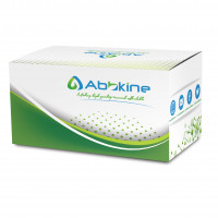 EliKine™ 人白介素33 ELISA定量试剂盒