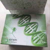 猪流感抗体(FLU-Ab)ELISA试剂盒