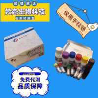 elisa试剂盒