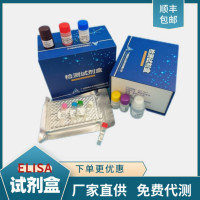 大鼠Ⅰ型胶原N末端肽（NTX）ELISA检测试剂盒