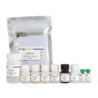 Mouse Periostin/OSF-2 ELISA Ki