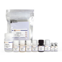 Human IL-6 ELISA Kit (High-sen