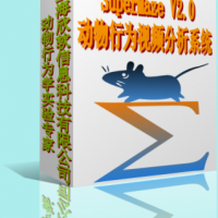 供应SuperMaze动物行为学视频分析软件