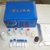 大鼠白介素15(IL-15)ELISA试剂盒