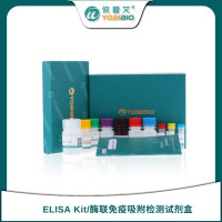 Human Testosterone/T ELISA Kit