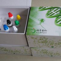新型甲型H1N1流感病毒（2009）IgG抗体检测试剂盒