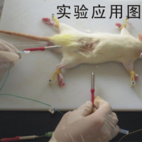 医学专用高精度微型铂热电阻