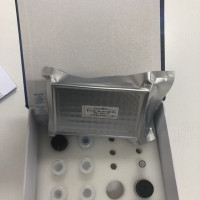 小鼠类固醇硫酸酯酶(STS)ELISA试剂盒