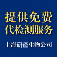 小鼠小扁豆素结合型甲胎蛋白/甲胎蛋白异质体1(AFP-L1)