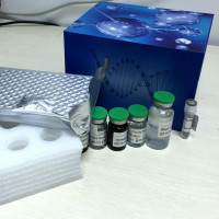 人尿素酶相关蛋白C(UreC)ELISA试剂盒