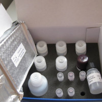 TREM-1 ELISA kit