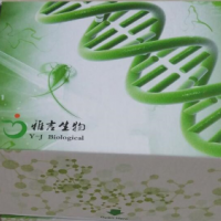 人（Human）脊髓灰质炎病毒IgG抗体（PV-IgG）EL